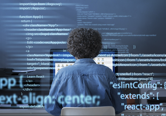 Custom Software Development